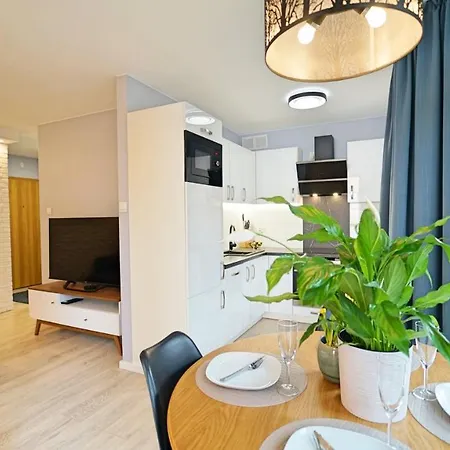 Apartament Everysky - Nad łomnicą 14a-b